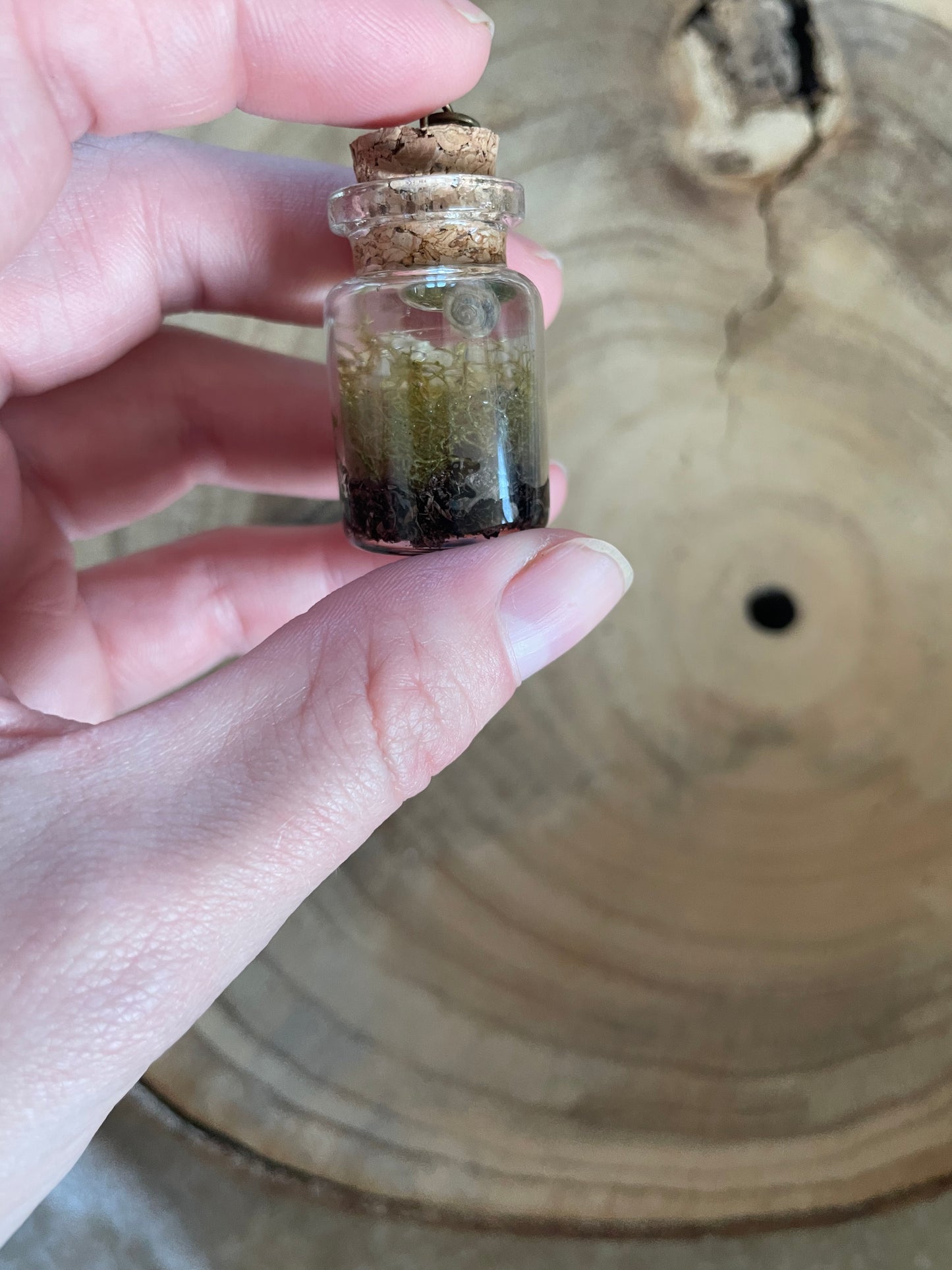 Forest Bottle Necklace with Snail Shell and Queen Anne's Lace